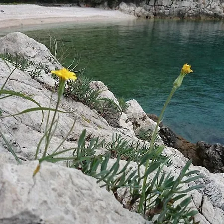 Plavcic Apartment Plomin