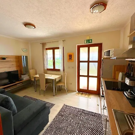 Apartment Plavcic *