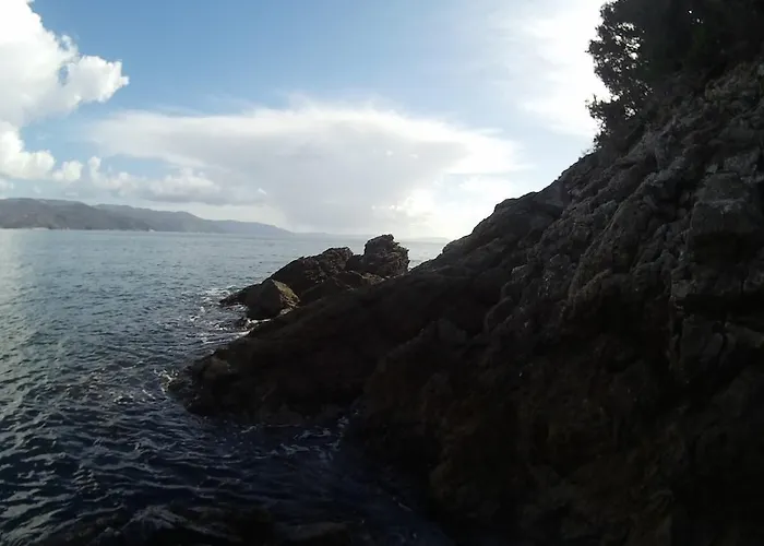 Plavcic Διαμέρισμα *