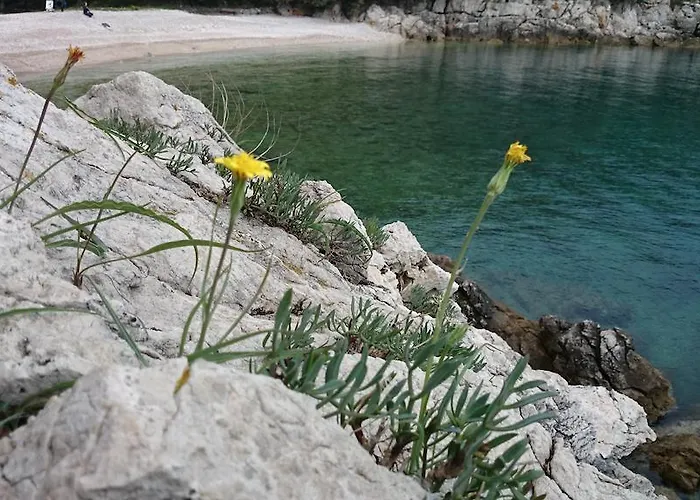 Plavcic Διαμέρισμα Plomin